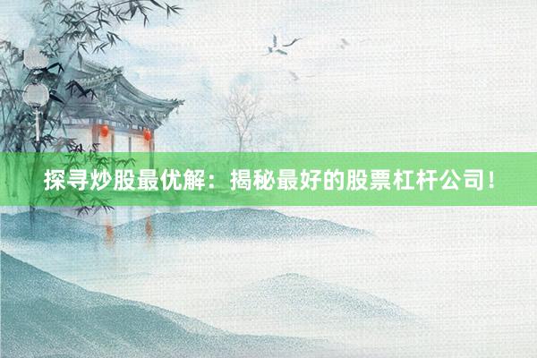 探寻炒股最优解：揭秘最好的股票杠杆公司！