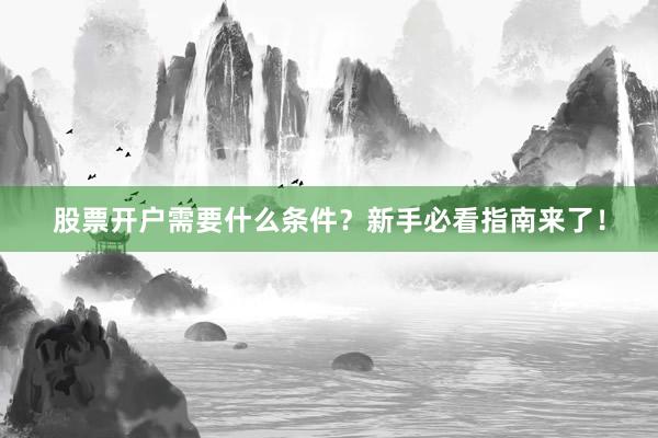 股票开户需要什么条件？新手必看指南来了！