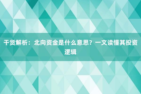 干货解析：北向资金是什么意思？一文读懂其投资逻辑