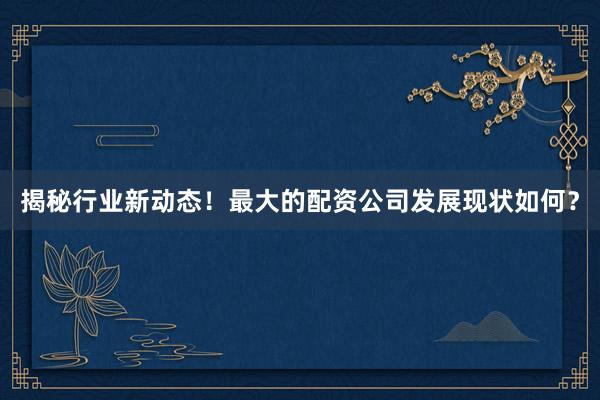 揭秘行业新动态！最大的配资公司发展现状如何？