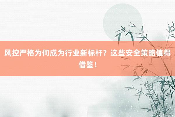 风控严格为何成为行业新标杆？这些安全策略值得借鉴！