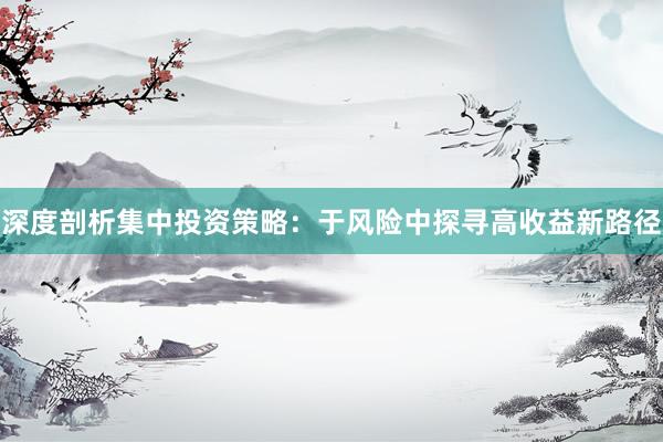 深度剖析集中投资策略：于风险中探寻高收益新路径