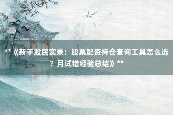 **《新手股民实录：股票配资持仓查询工具怎么选？月试错经验总结》**