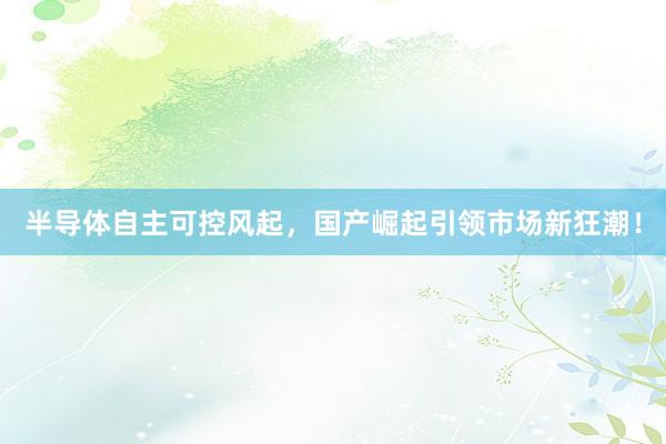 半导体自主可控风起，国产崛起引领市场新狂潮！