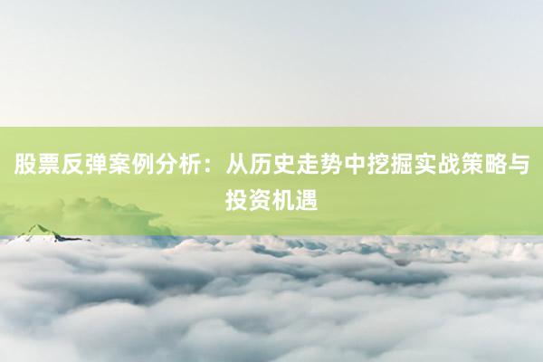 股票反弹案例分析：从历史走势中挖掘实战策略与投资机遇