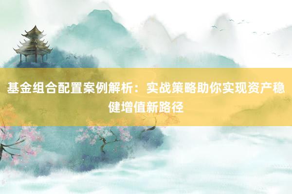 基金组合配置案例解析：实战策略助你实现资产稳健增值新路径