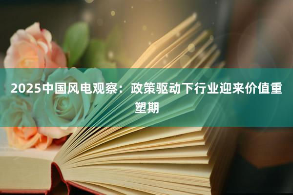 2025中国风电观察：政策驱动下行业迎来价值重塑期
